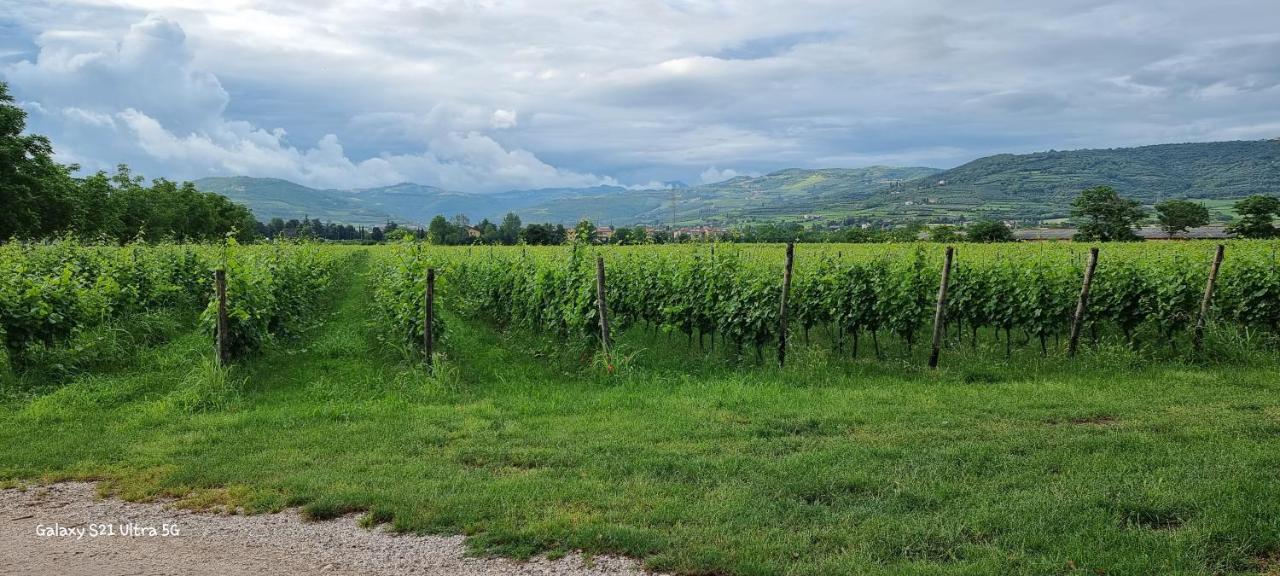 Agriturismo Alle Albare Montorio Veronese Exterior photo